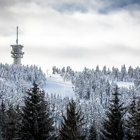 Lejlighed Horsky Apartman Klinovec Meadows I 3kk *